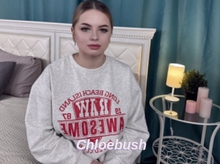 Chloebush