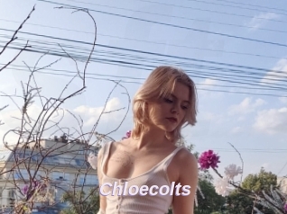Chloecolts