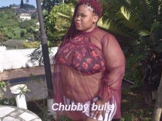 Chubby_bule