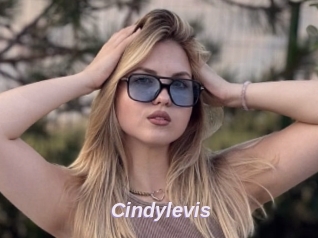 Cindylevis
