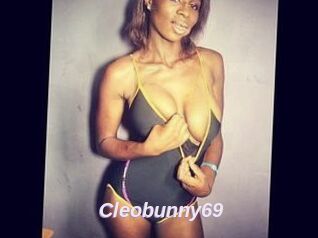 Cleobunny69