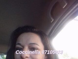 Coccinella-07105003