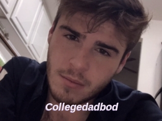 Collegedadbod