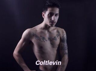 Coltlevin