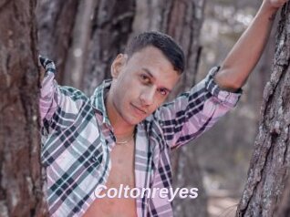 Coltonreyes