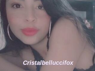 Cristalbelluccifox