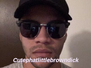 Cutephatlittlebrowndick