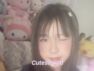 Cuteshycat