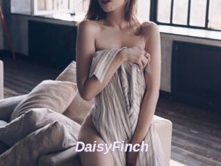 DaisyFinch