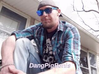 DangPigBenis