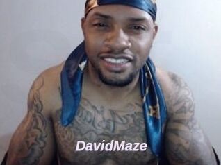 David_Maze