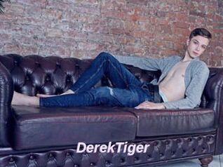 DerekTiger