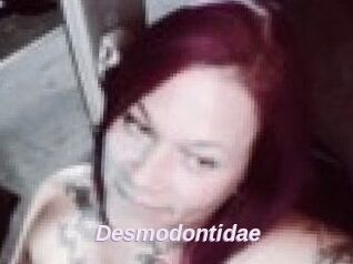 Desmodontidae