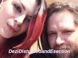 DeziDisturbedandEsection