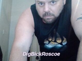 DigBickRoscoe
