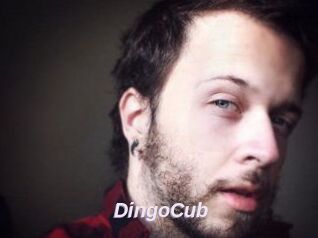 DingoCub