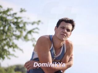 DominikYa