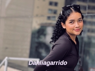 Dahliagarrido