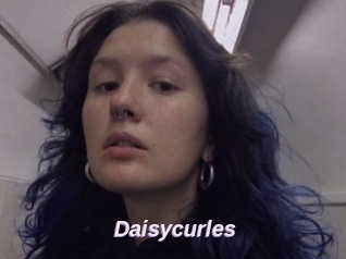Daisycurles