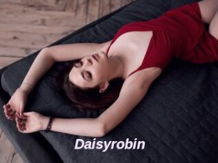Daisyrobin