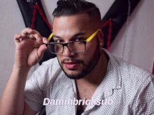 Daminbricksub