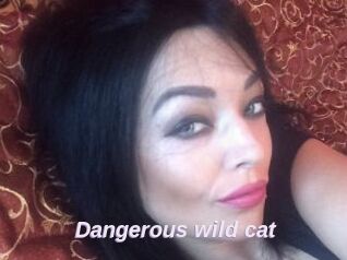 Dangerous_wild_cat