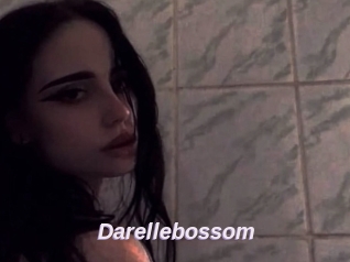 Darellebossom