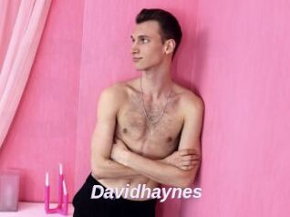 Davidhaynes