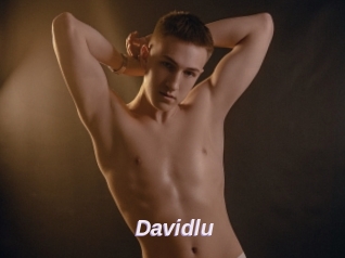 Davidlu