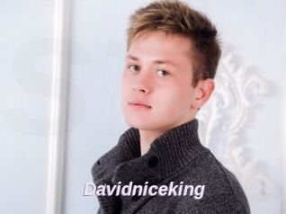 Davidniceking