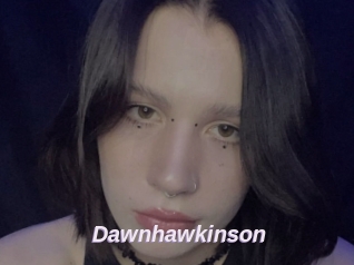 Dawnhawkinson