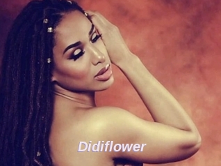 Didiflower
