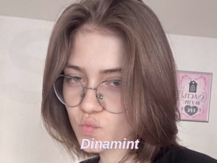 Dinamint