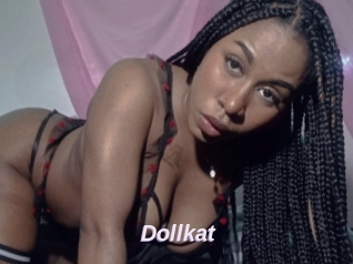 Dollkat
