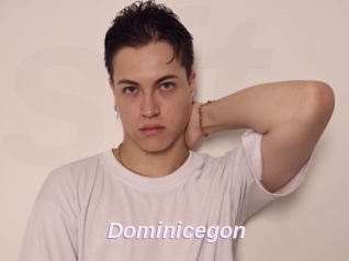 Dominicegon