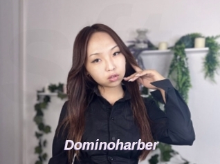 Dominoharber