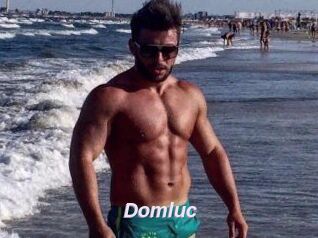 Domluc
