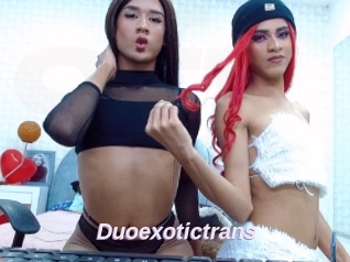 Duoexotictrans