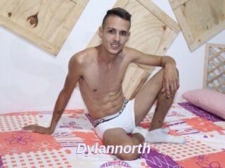 Dylan_north