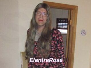 Elantra_Rose