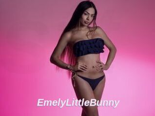 EmelyLittleBunny