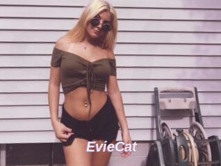 EvieCat