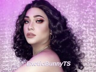 ExoticBunnyTS