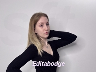 Editabodge