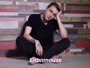 Eitonmouse