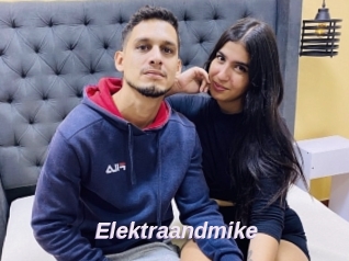 Elektraandmike