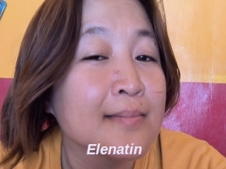 Elenatin