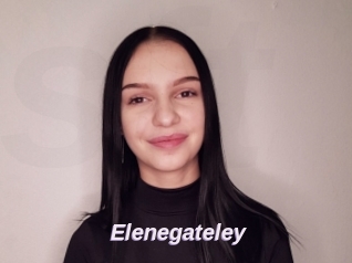Elenegateley