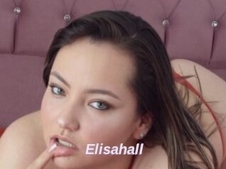 Elisahall