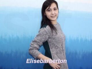 Elisebarberton